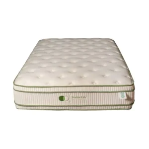 Dreamstar Double Life Latex 13″ Euro Top Mattress
