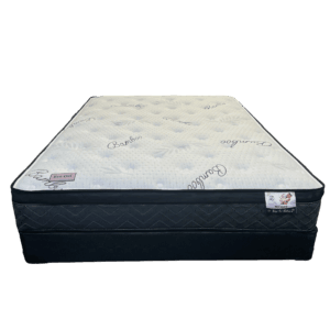 Sleep in Meagan Mattress