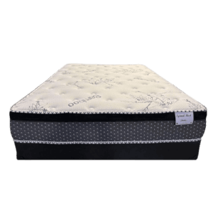 Sleep in Spinal Rest Mattress